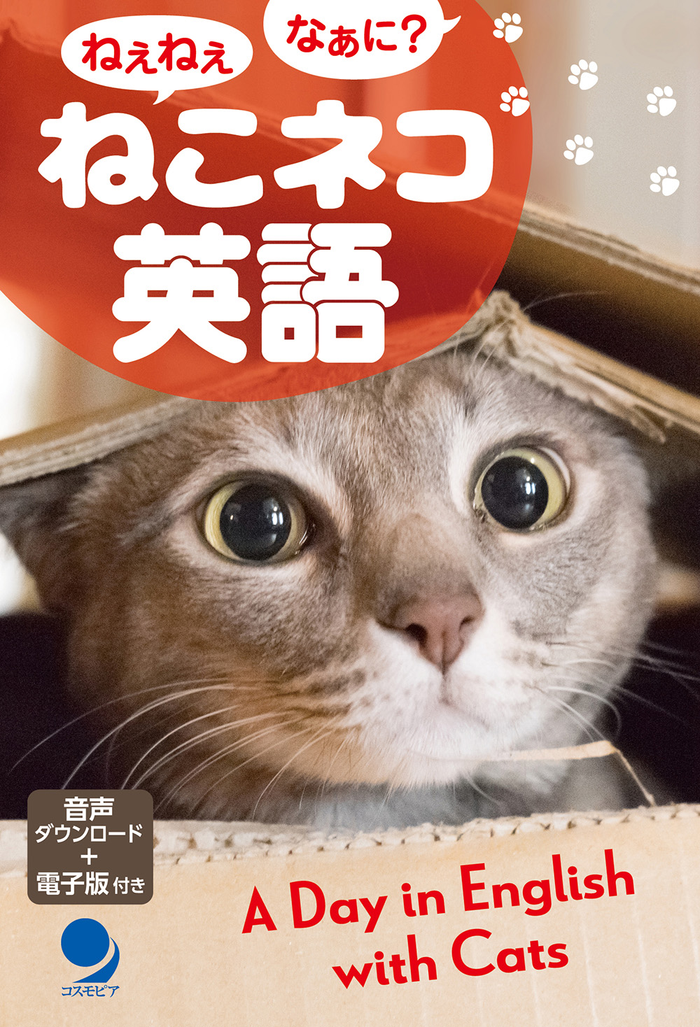 猫A